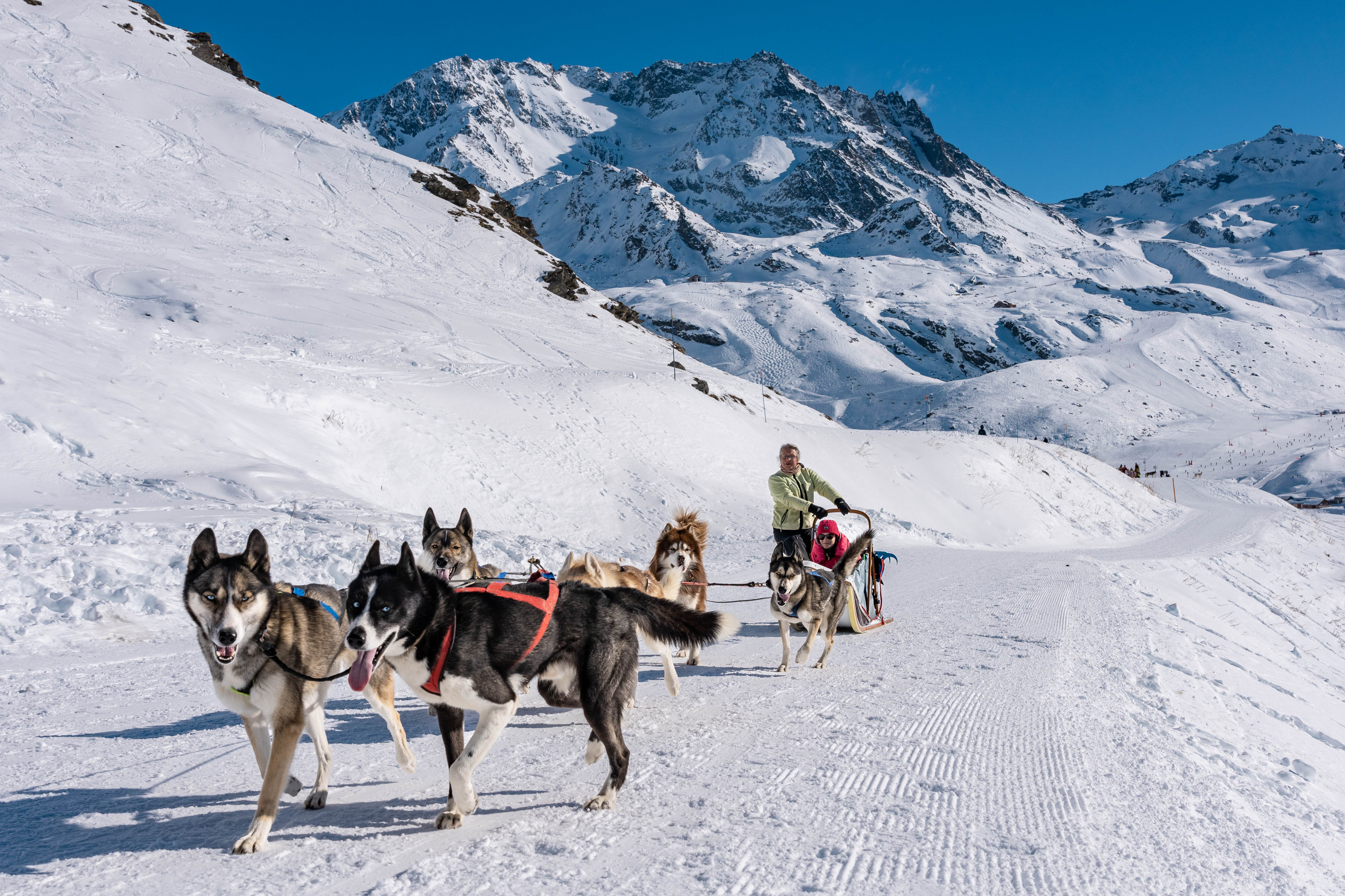 Balade en chiens de traineau sur le Plateau de Retord avec R�ve Nordique