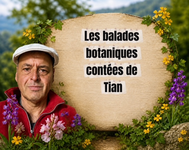 Balade botanique contée à La Chaise-Dieu