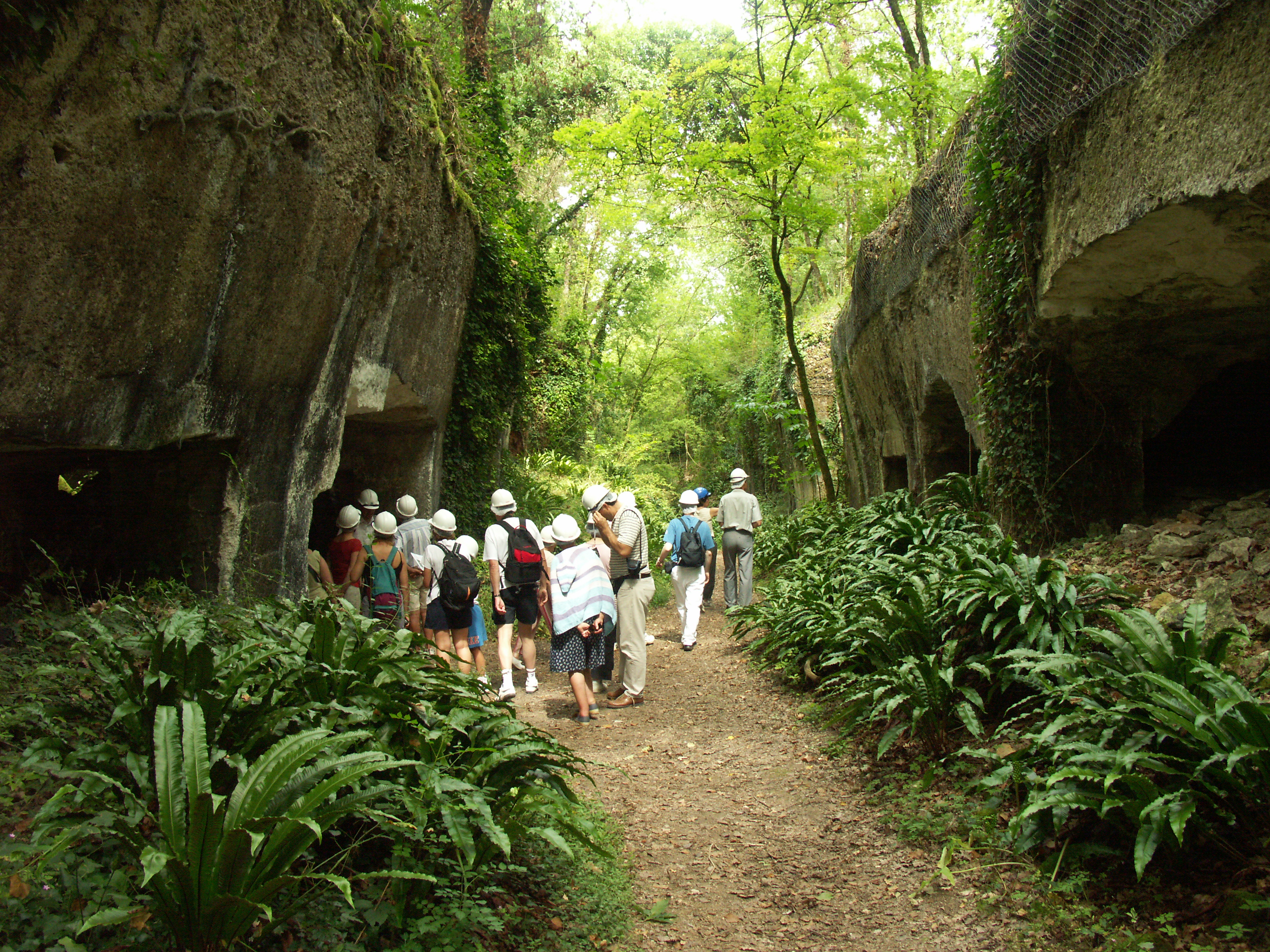 Parcours des carriers