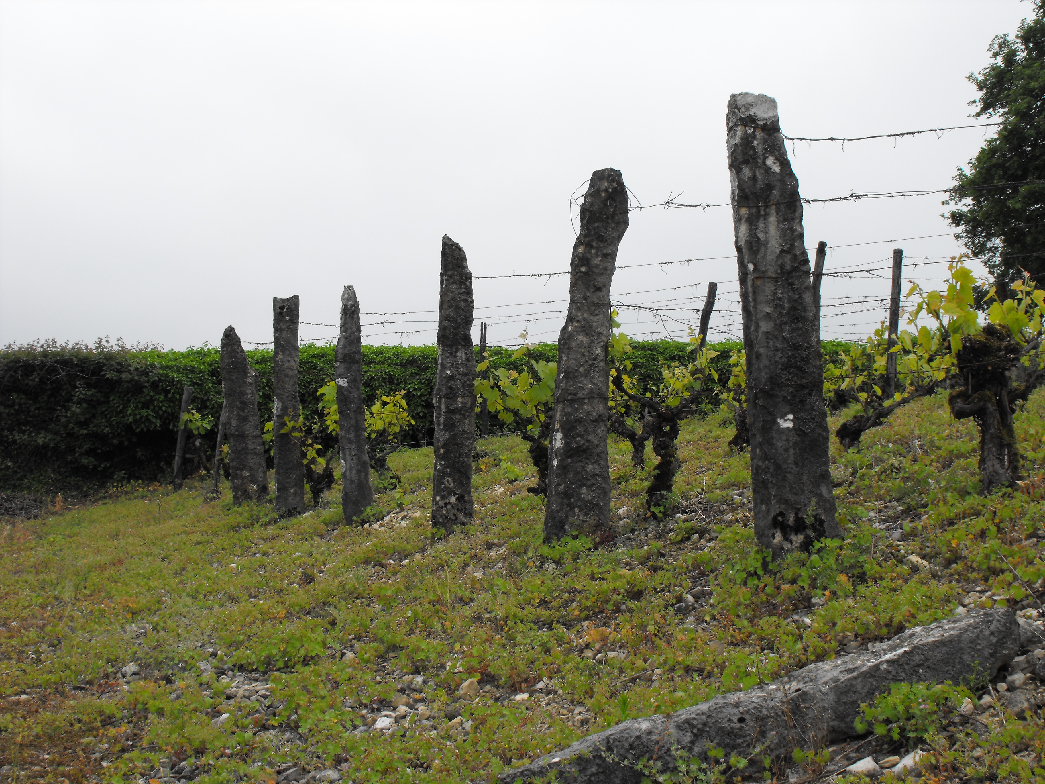 Circuit n°6 "La Côte de St Vérand"