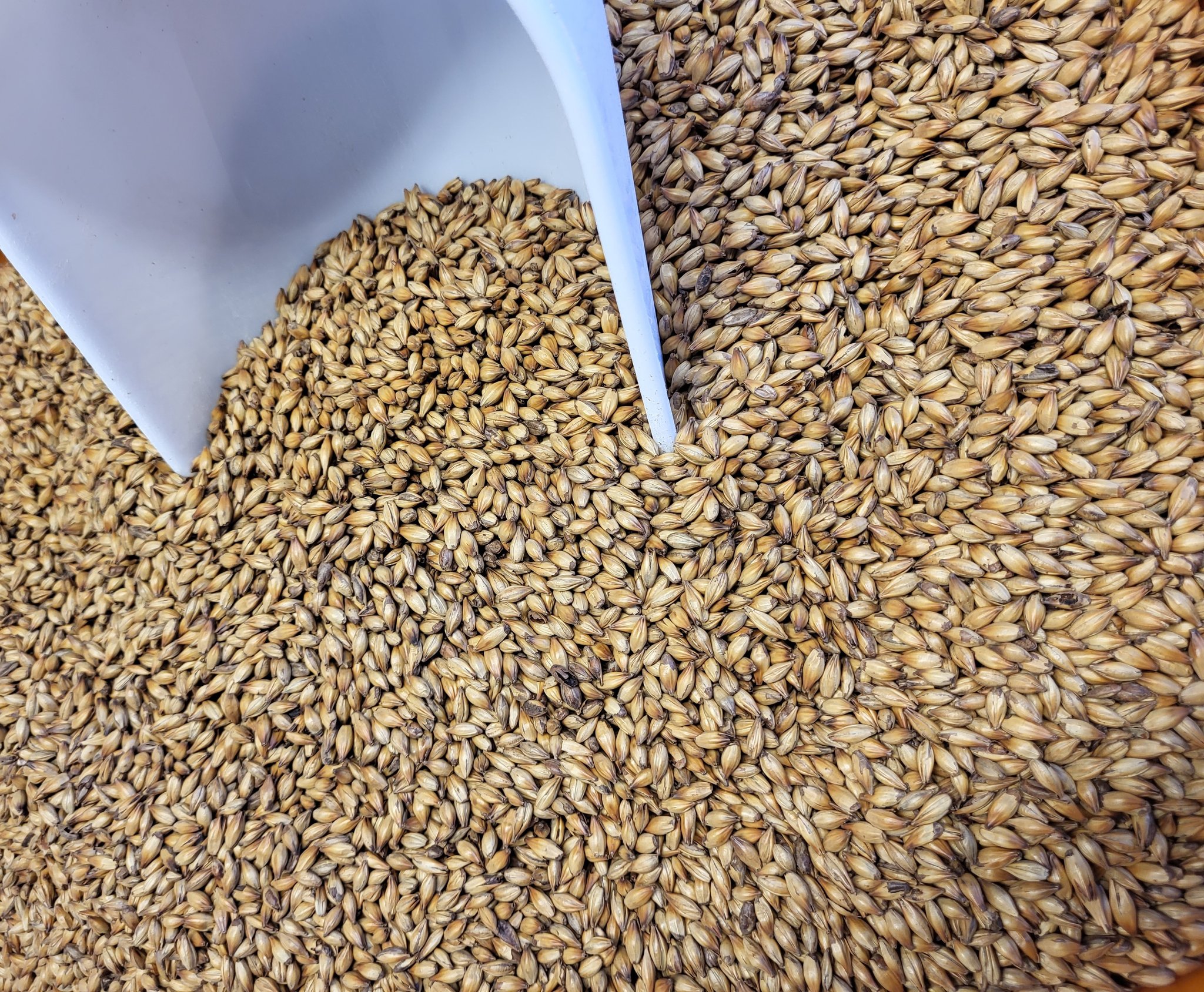 473624929_1314749346331638_3835407809112951293_n