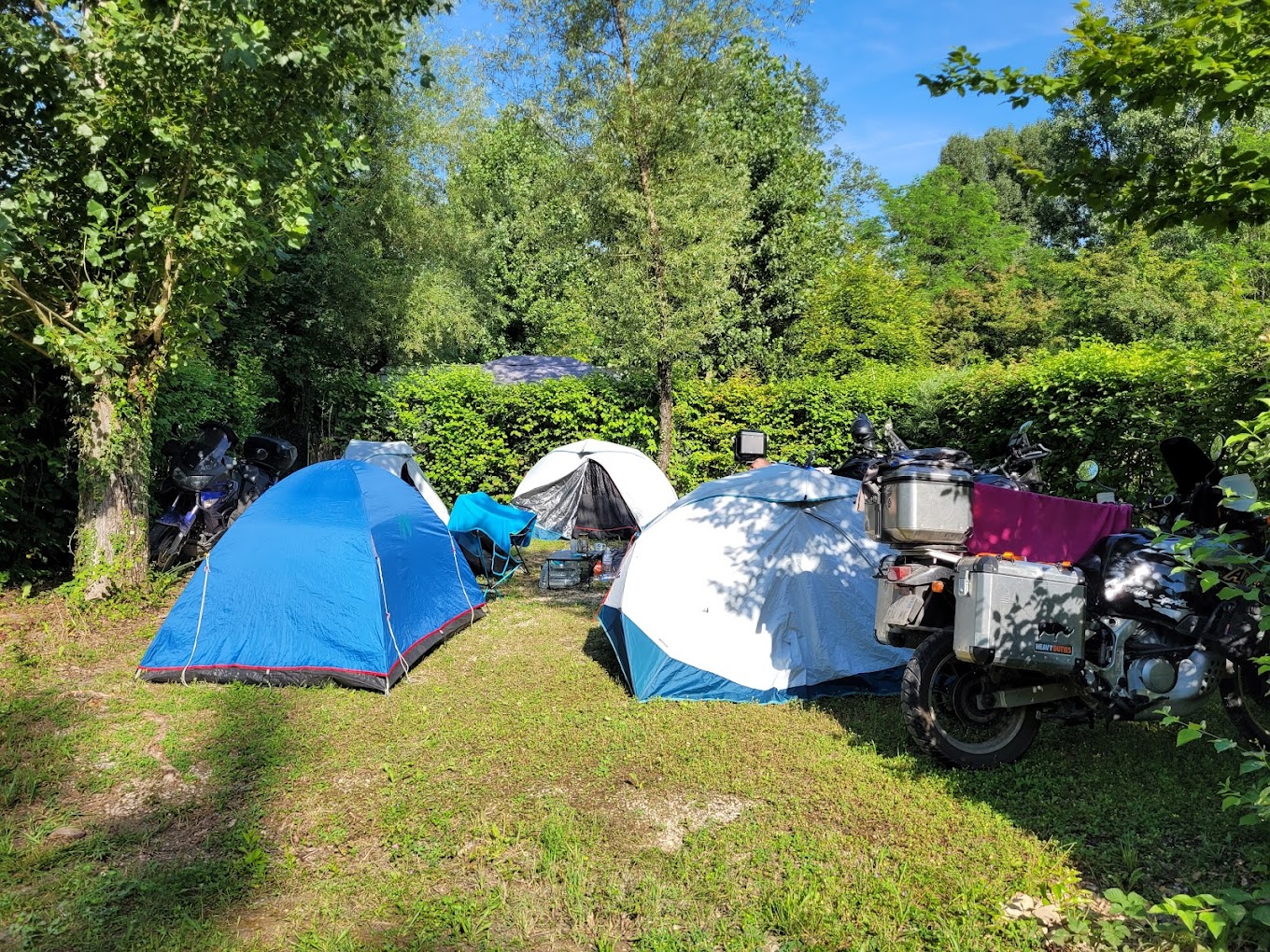 Emplacement engazonné accueillant des tentes dans un environnement arboré et ombragé