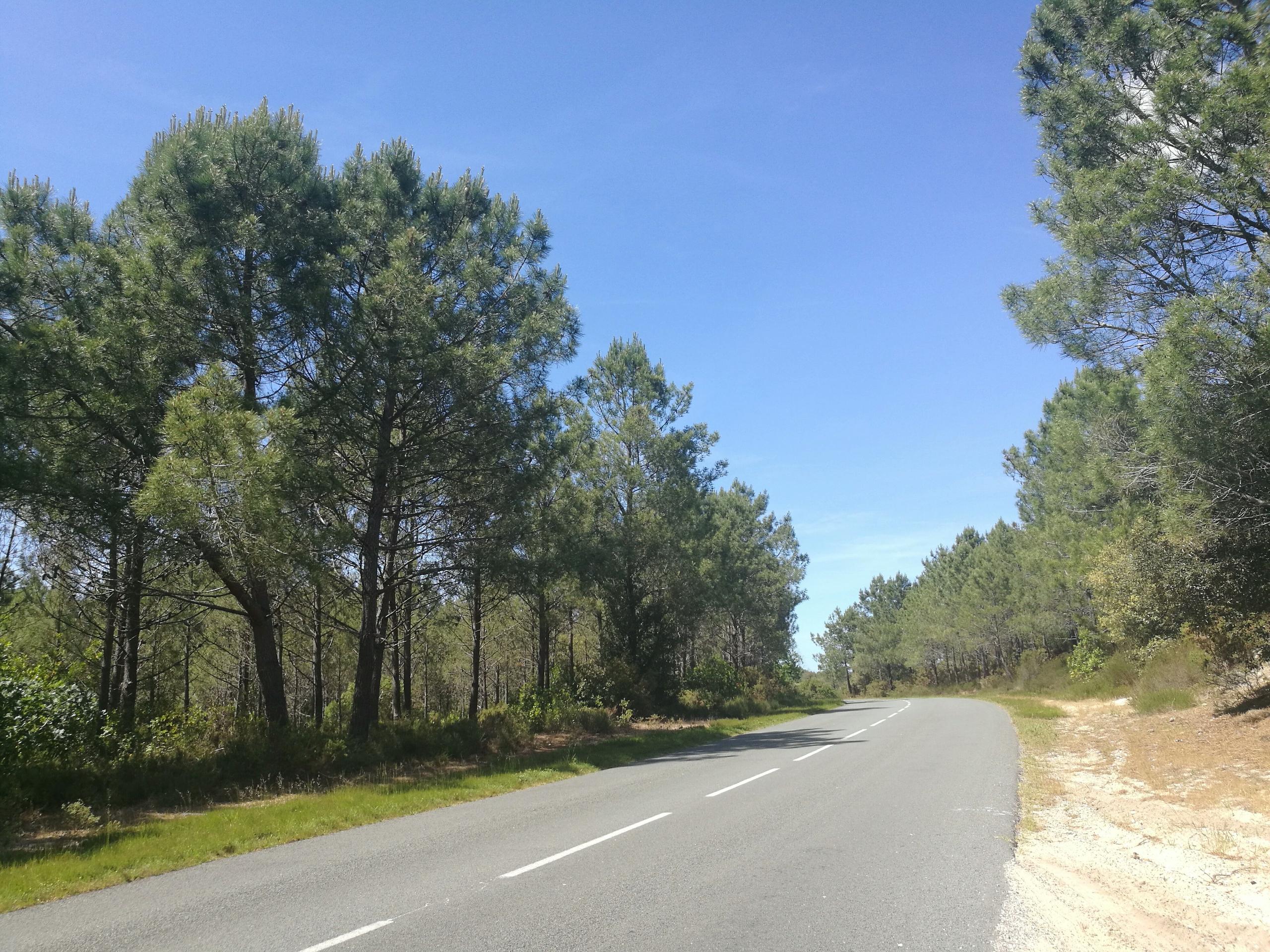 Route des 33 Virages - D6e1