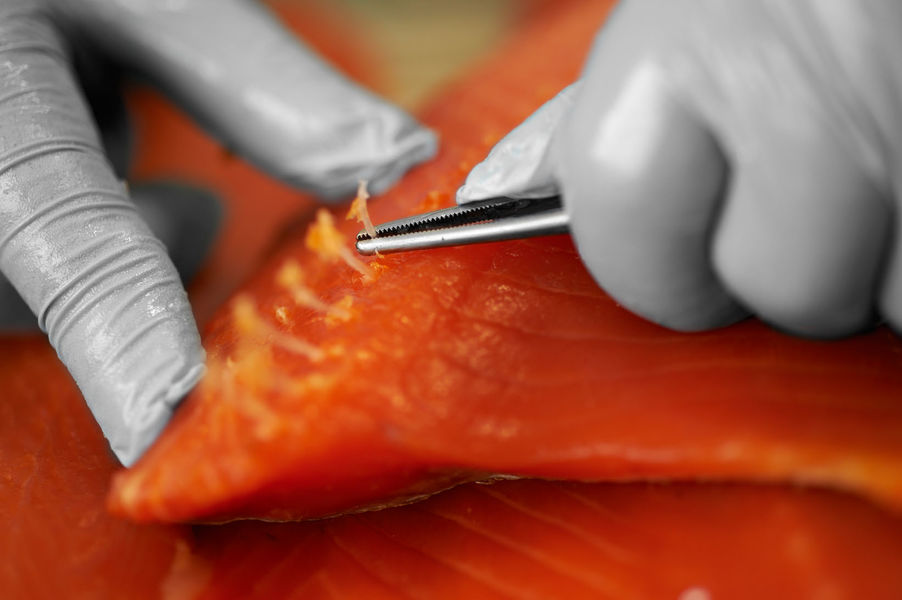 St André de Corcy - Le Fumet des Dombes