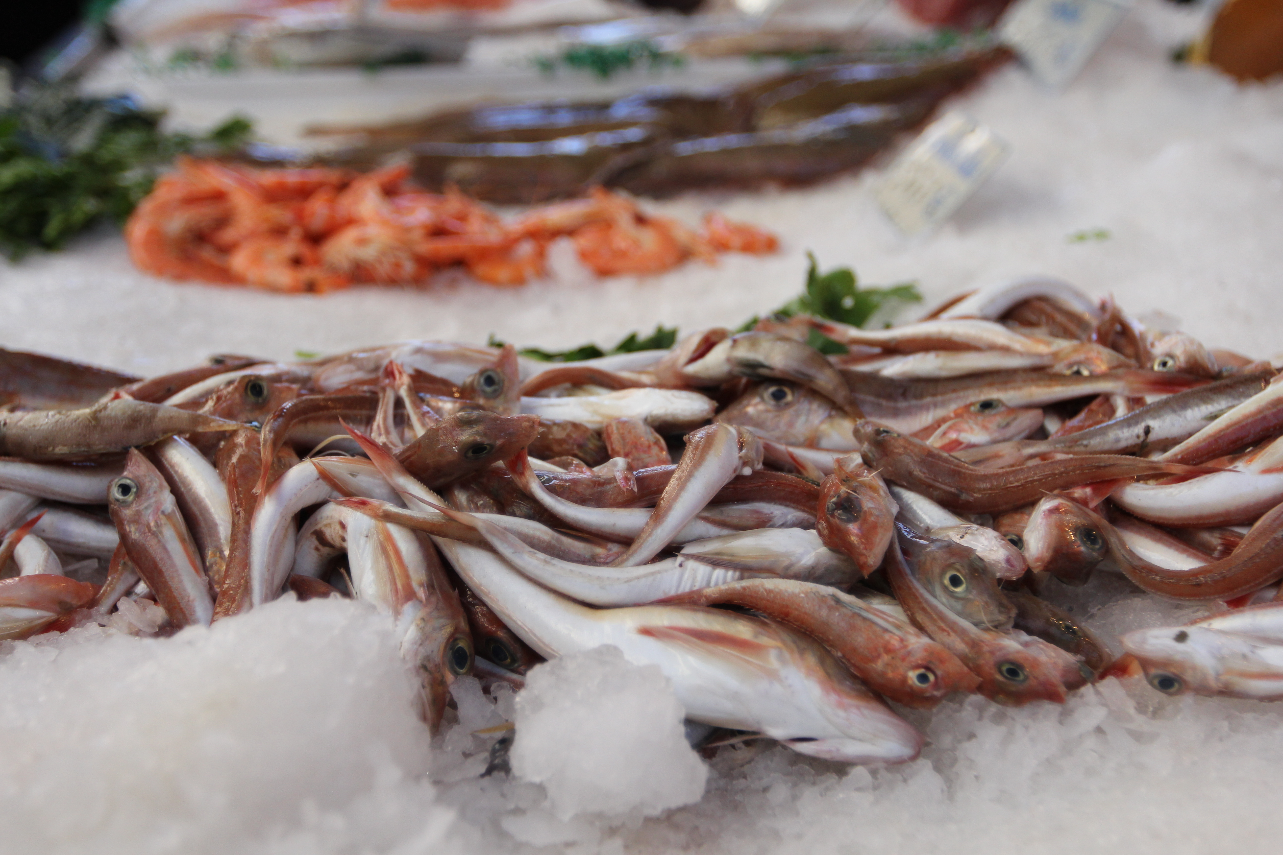 Marché d'Istres - photo 3