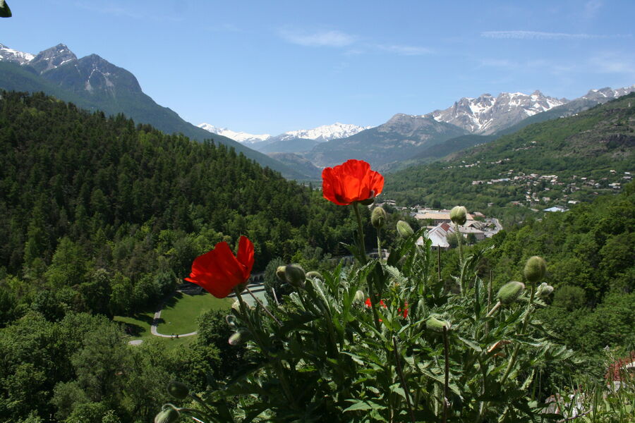 Jardin du Gouverneur