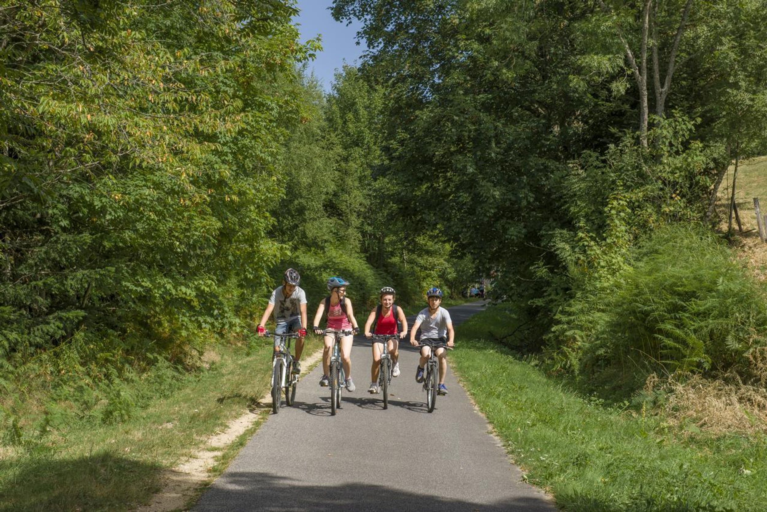 VTT N°17 - Les Chardons Bleus