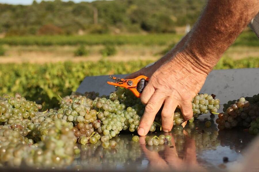 Cave Domaine Nicolas Croze