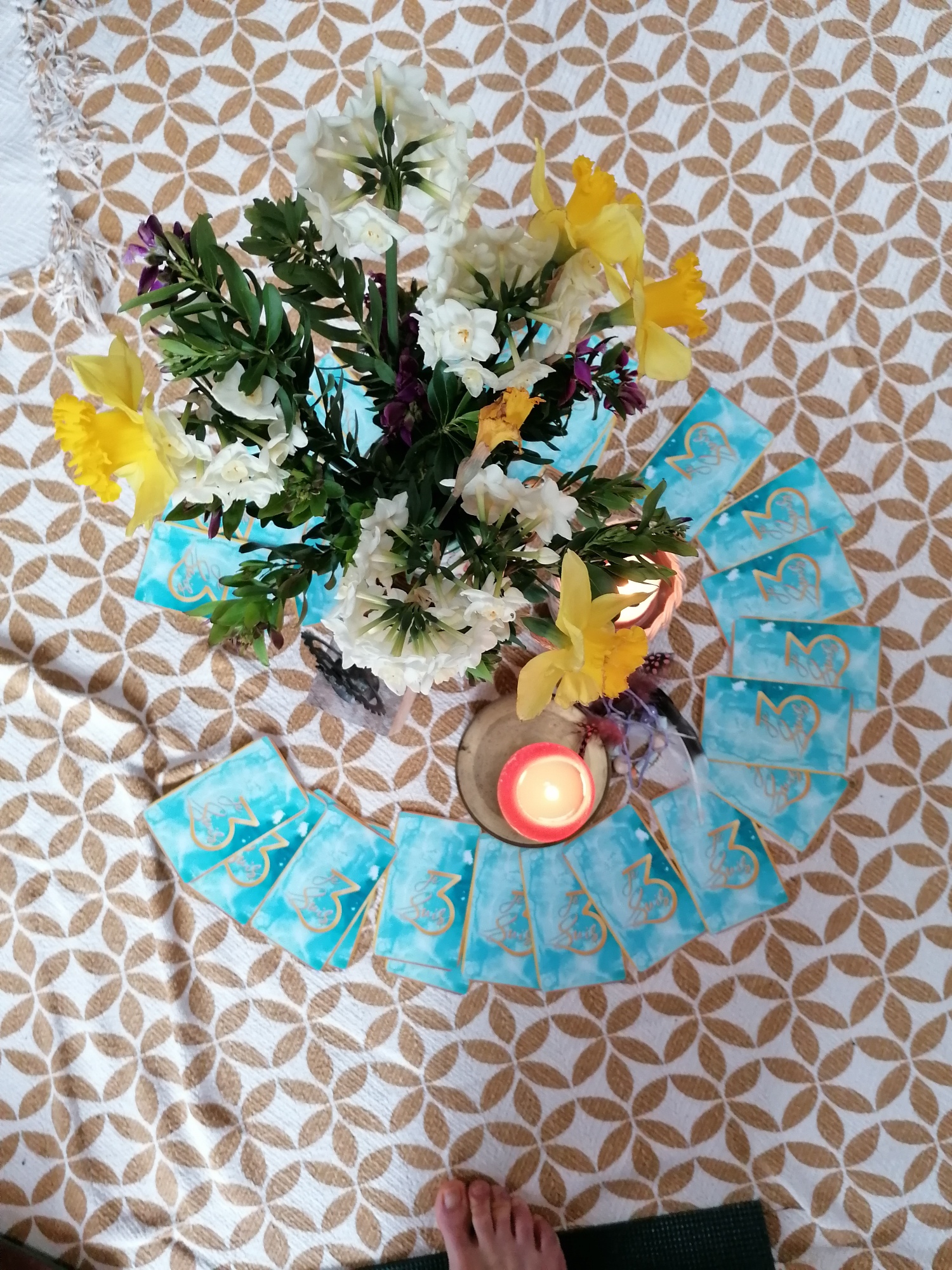 Voyage sonore au coeur des plantes et de leurs odeurs/ Equinoxe du printemps