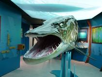 Aqualis©A.Coissard (5) Aqualis©A.Coissard (5)