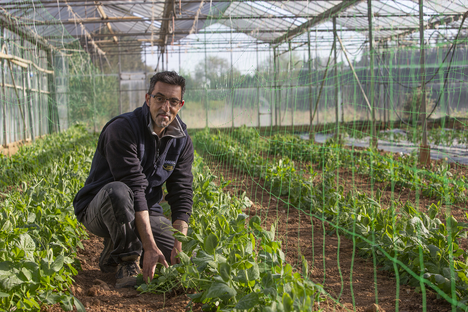 Les Paniers de José