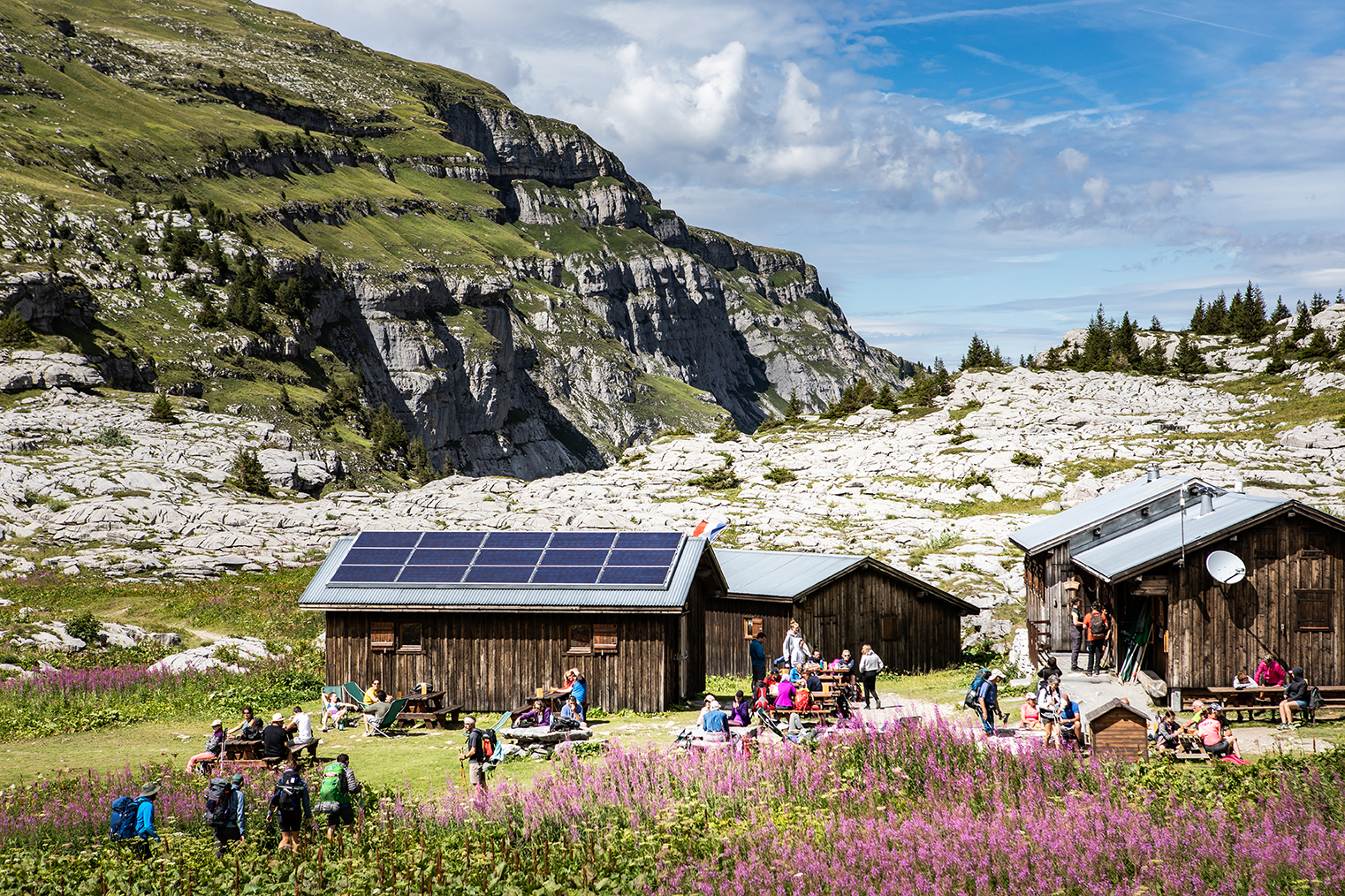 Visite guidée de l'Alpage de Sales