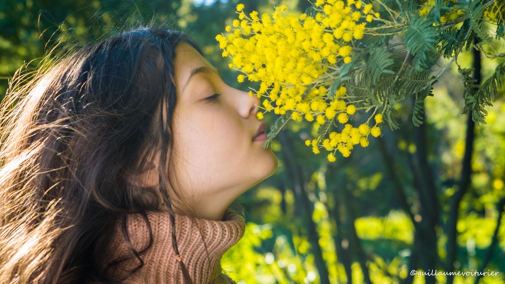 Corso du Mimosa à Cavalaire