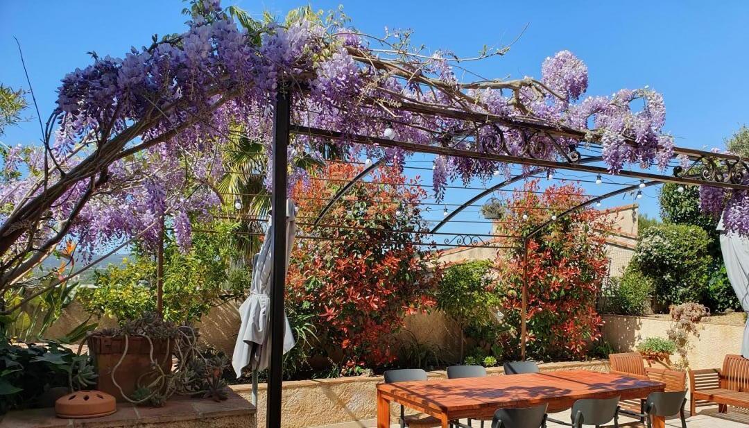 Les Glycines, Ceyreste - photo 28