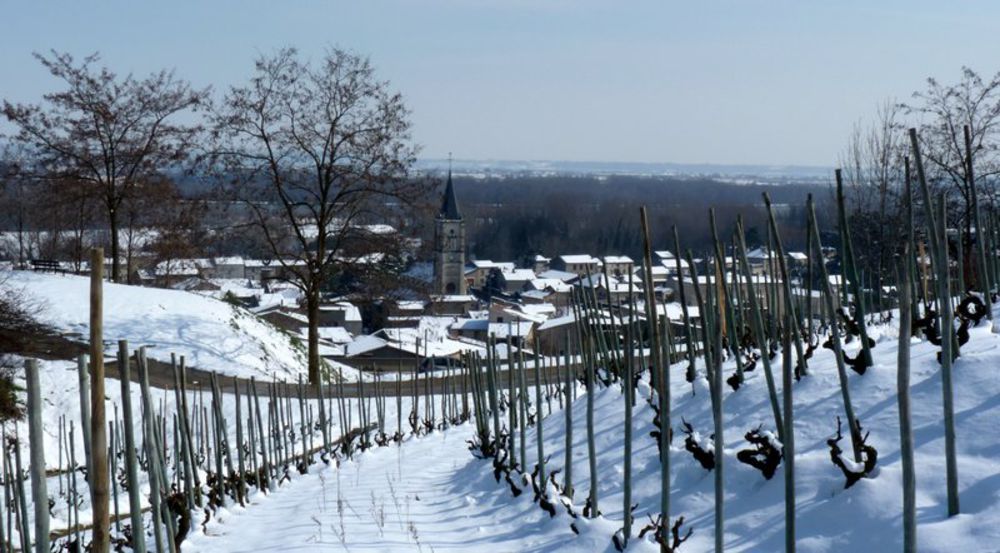 Mauves sous la neige - Domaine Coursodon