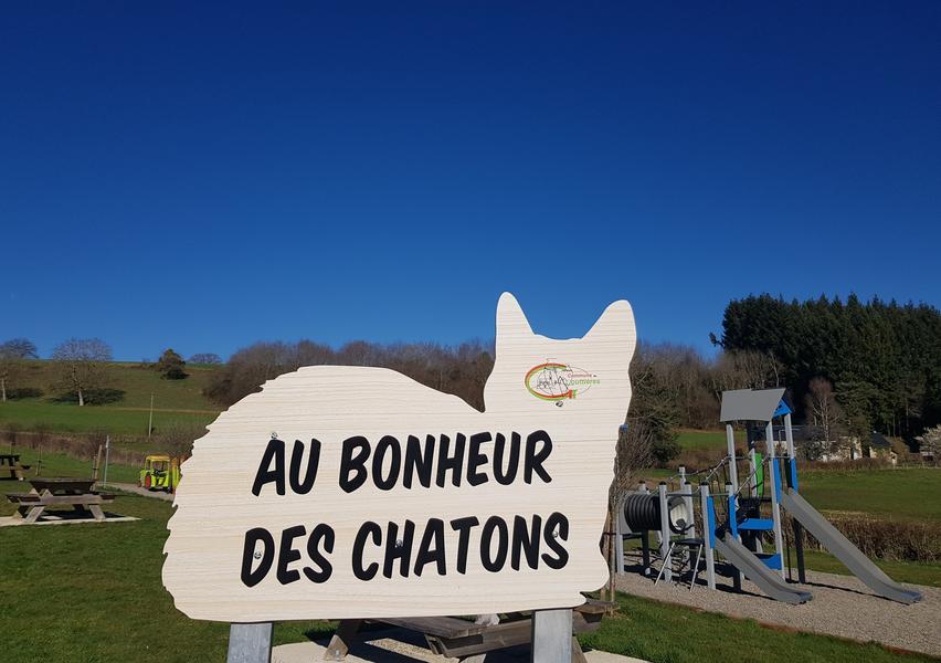 Aire de jeux - Cat Street Art Gouttières