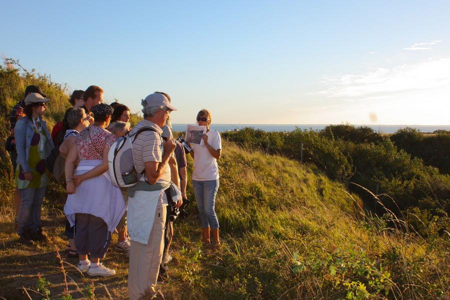 Visite nocturne de l'île Madame et de son fort