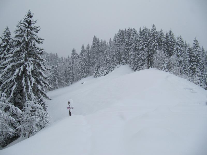 Vue sur le chemin raquette pour accéder au  Pont Des Nants