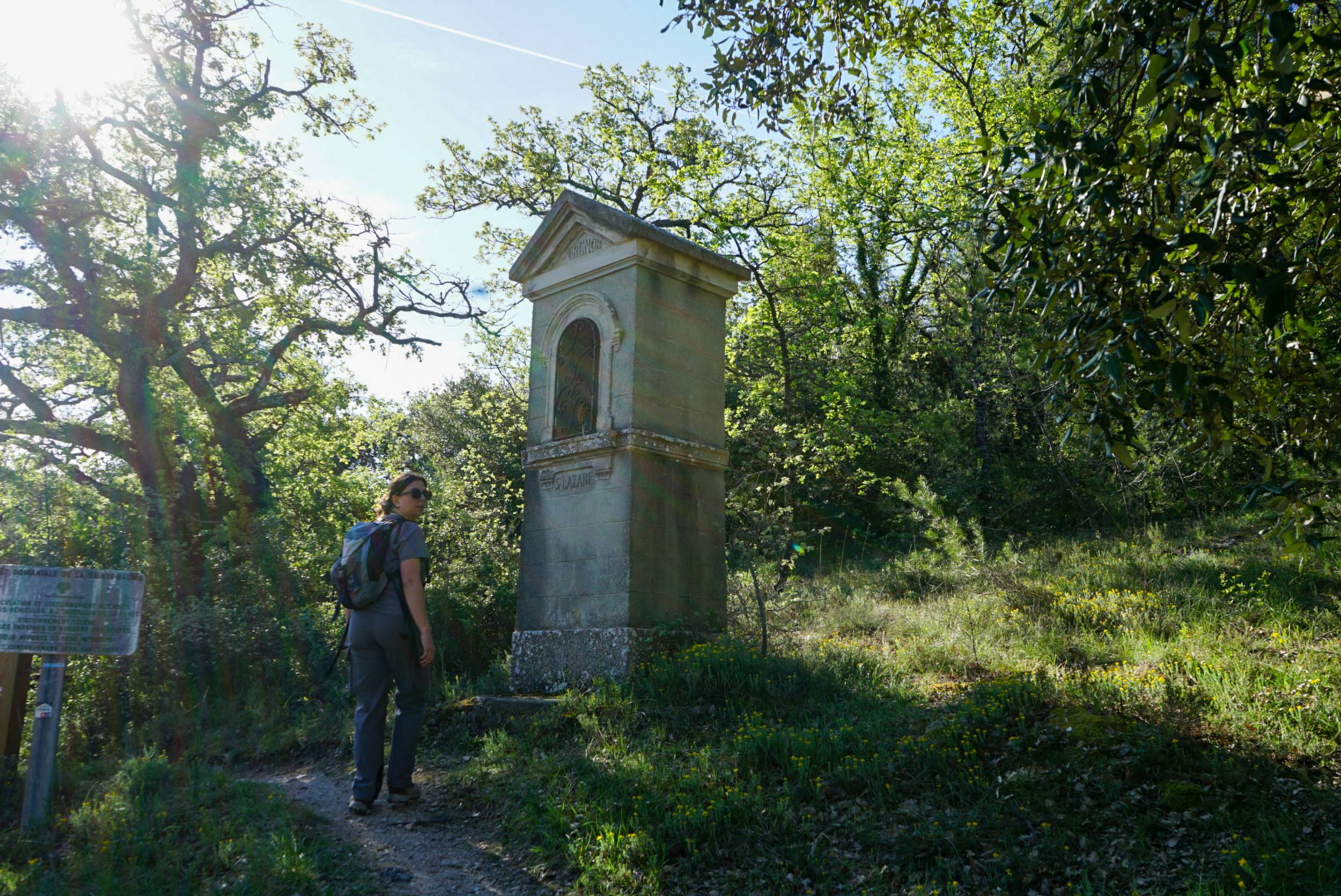 SAINT-ZACHARIE - La forêt du Défens par la piste de l'eau — photo 3