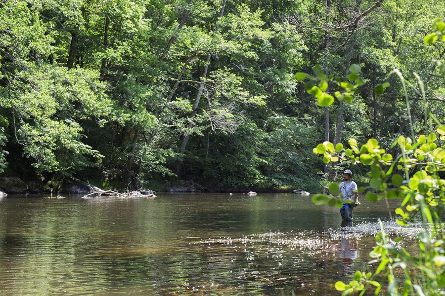 Site de pêche - Rivière la Sioule (basse Sioule)