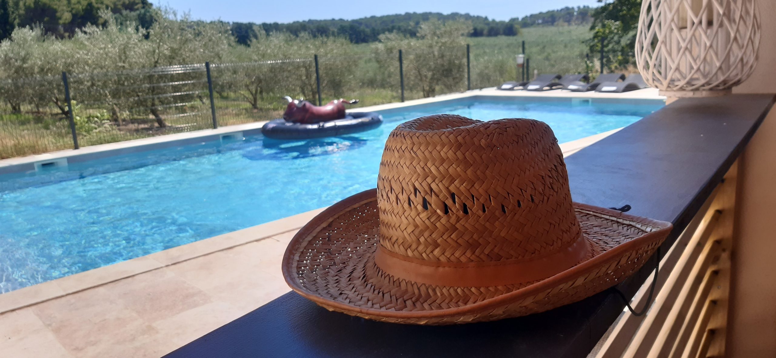 Le Mas Saint Roman, Maussane-les-Alpilles - photo 5