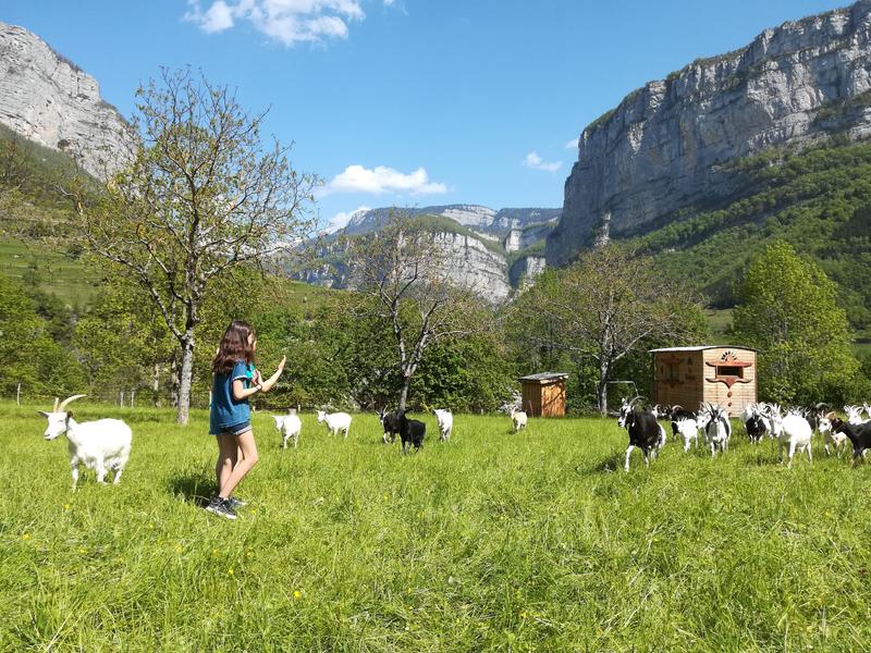 La roulotte Tourtereaux à La Ferme du Clos