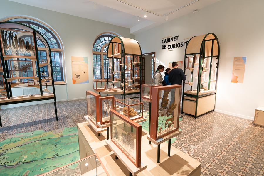 Cabinet de curiosité