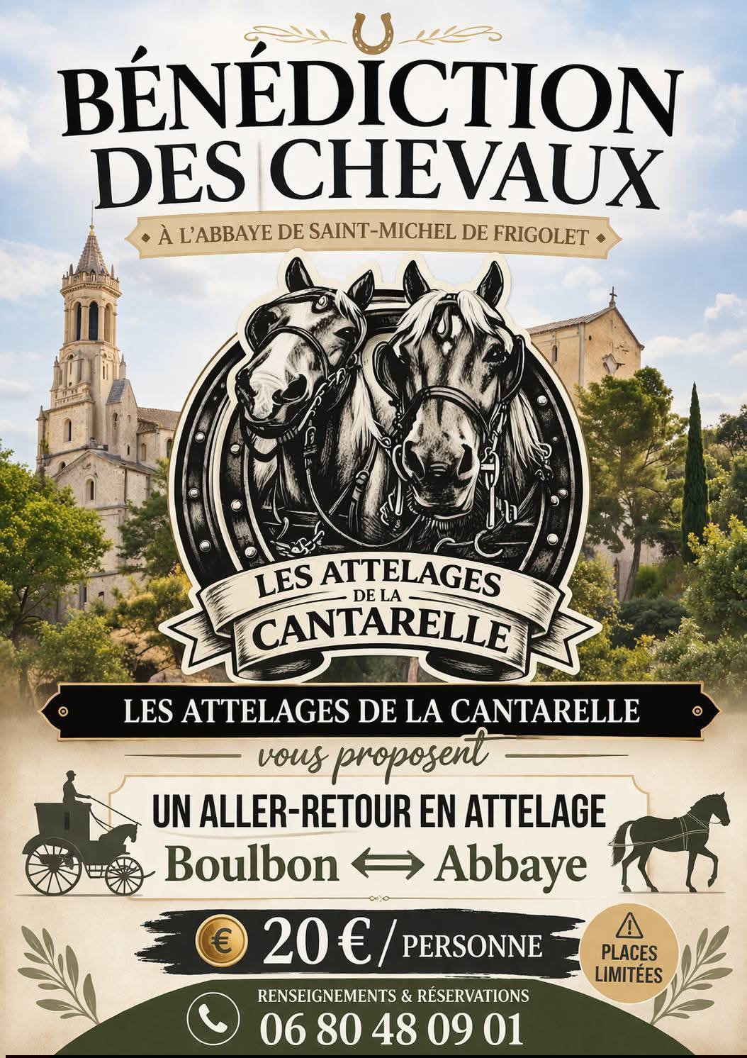 Fête du Cheval, Boulbon - photo 2
