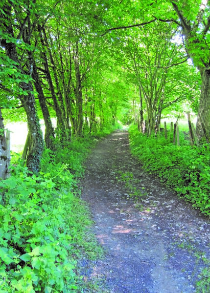 Circuit des curistes