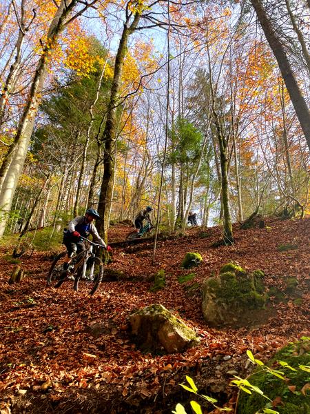 Sortie guidée VTT enduro
