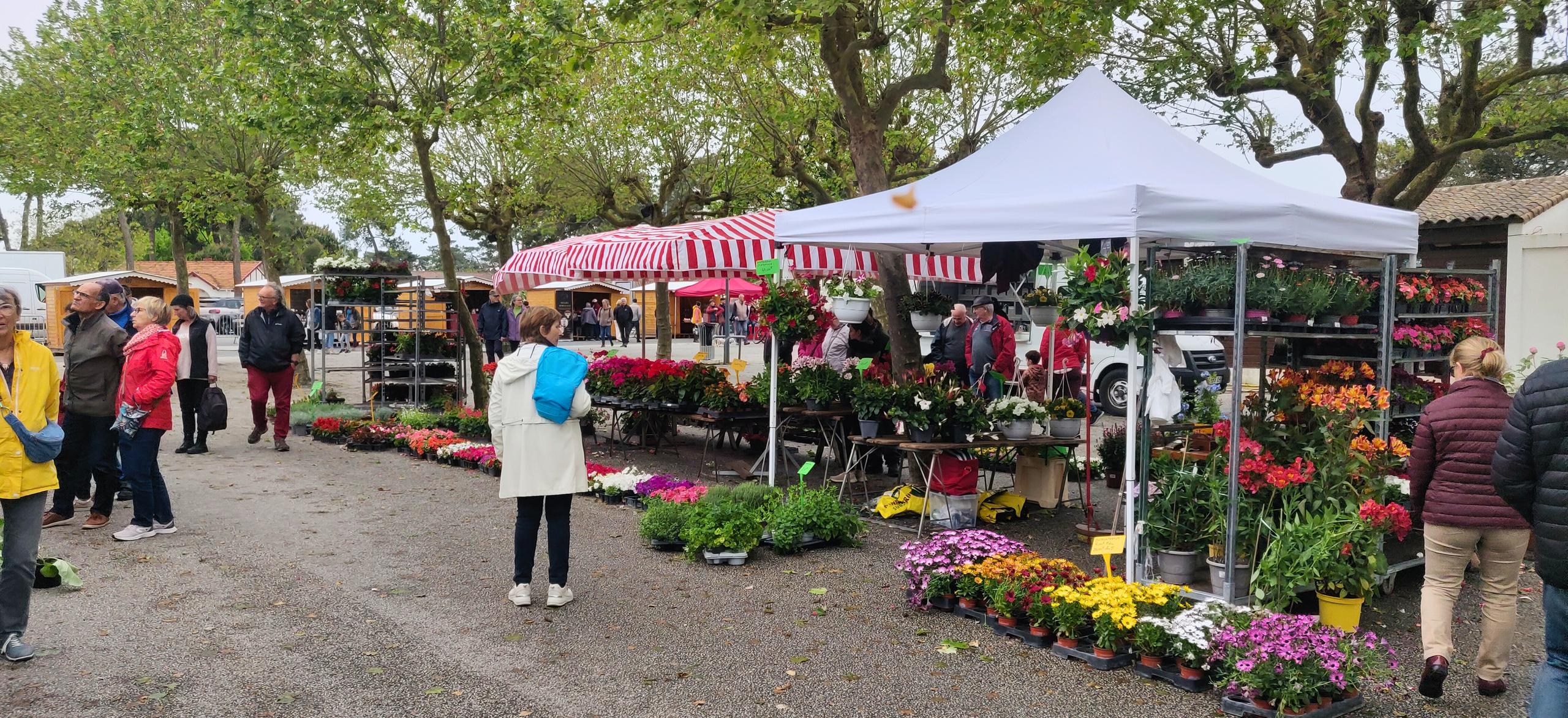Salon des plantes et des saveurs