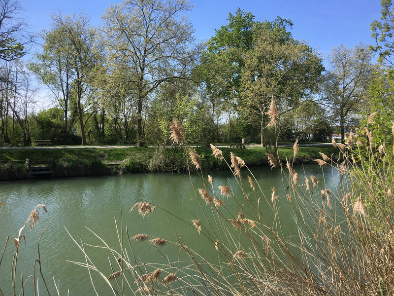 Vue de la sèvre et des tables de pique nique