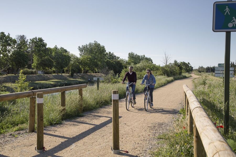 Piste cyclable en Camargue, vers le Mas Thibert