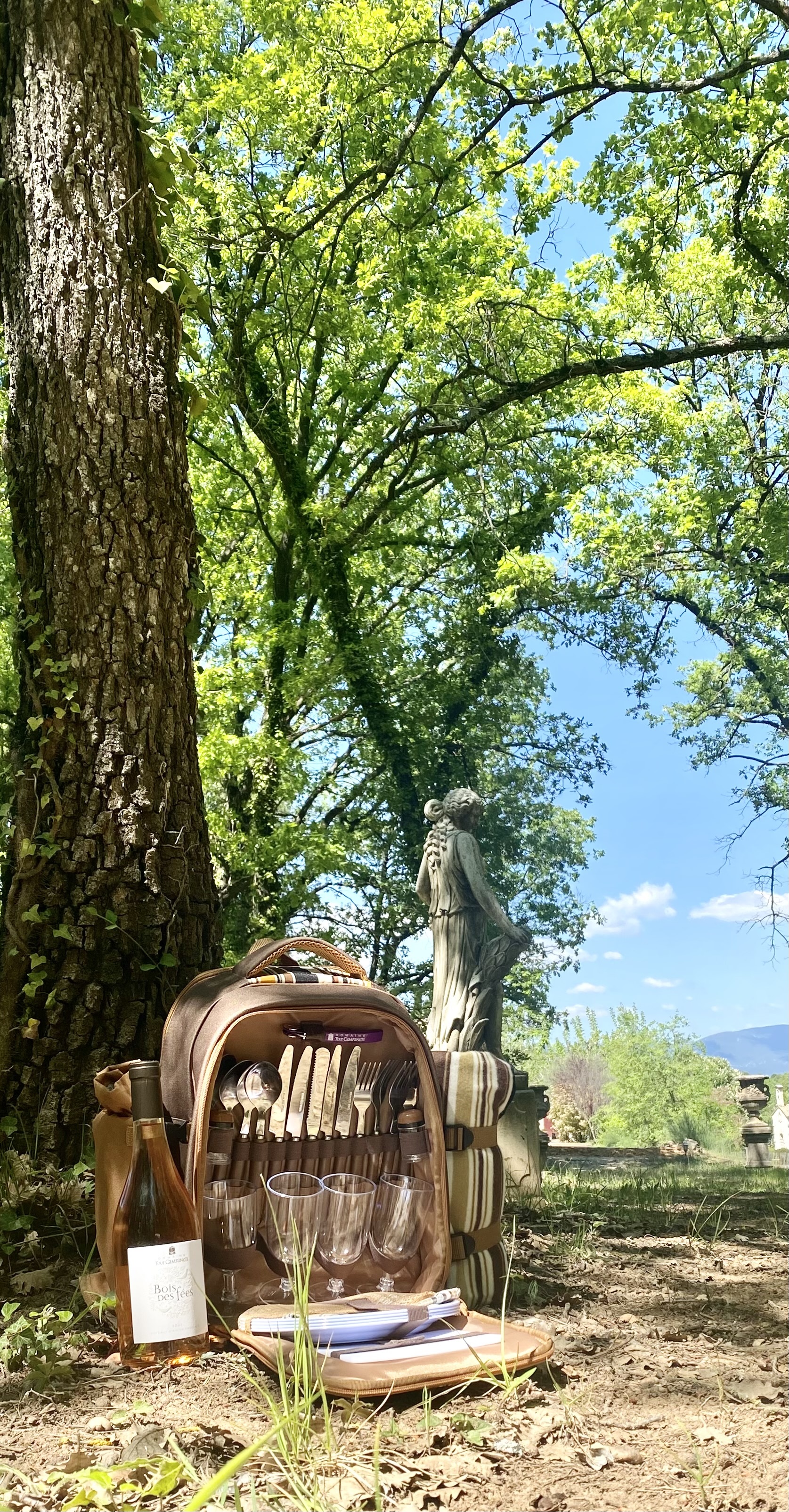 Domaine Tour Campanets - photo 5