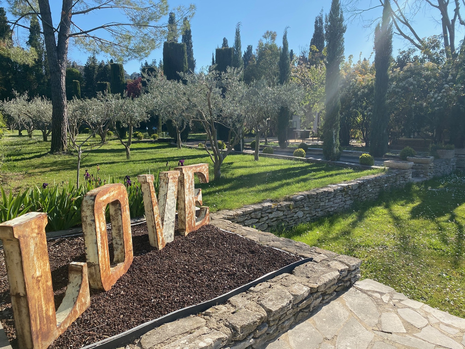 Mas dou Favre - photo 5