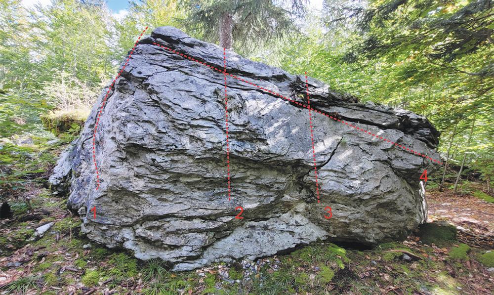 Blocs d'escalade du Plateau d'Assy_Passy