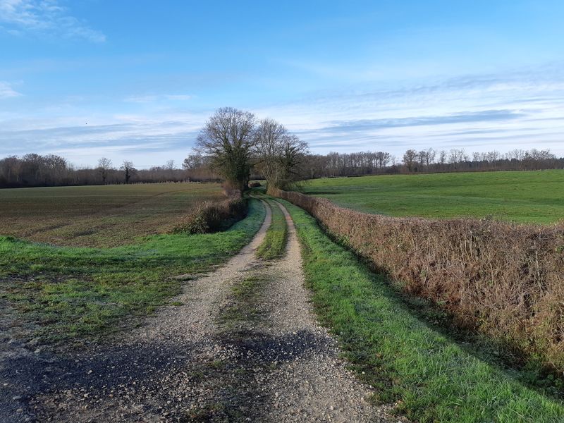 Balade autour de Vescours