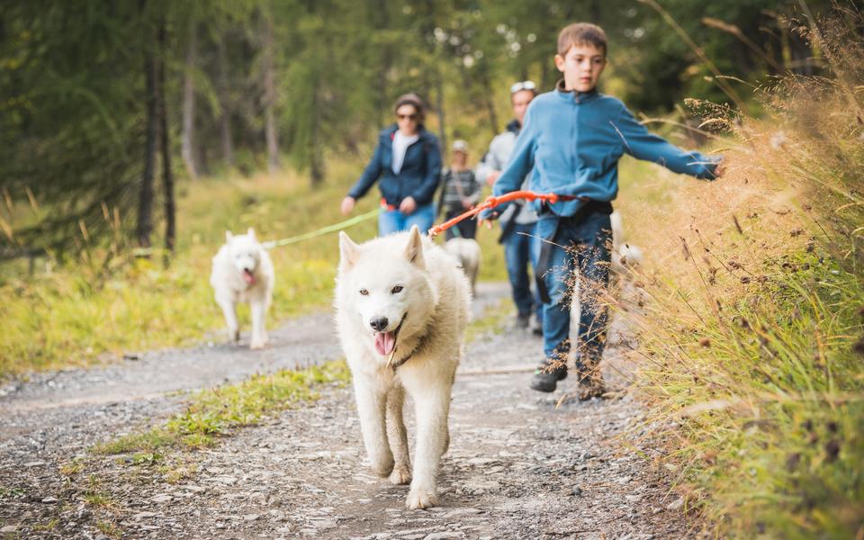 Circuit évasion nature en famille_Champéry