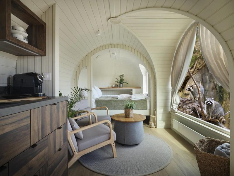 Les lodges au milieu des Ratons Laveurs_Peaugres