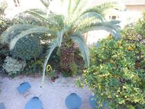 Photo of hotel Villa Les Cygnes Hotel in Nice