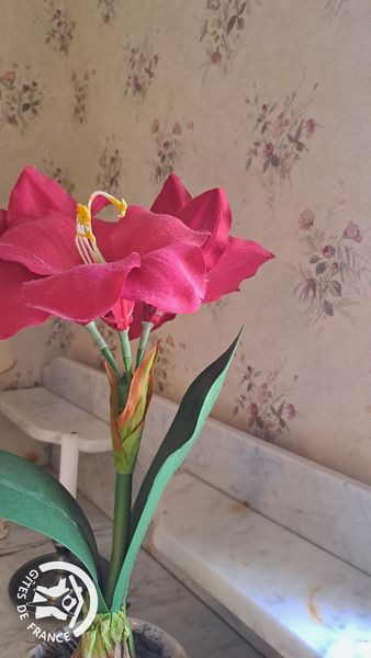 Déco