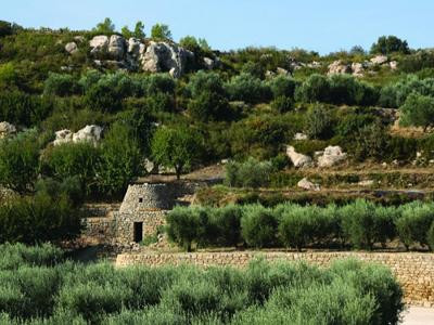 Salon de Provence : Le sentier de la Pastorale — photo 2