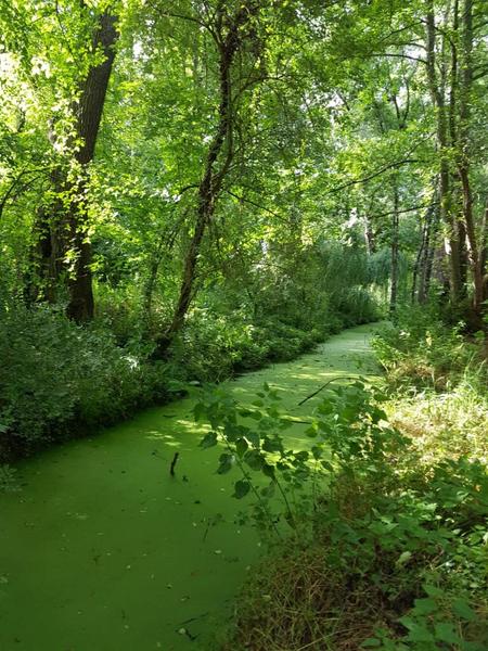 Le canal ds le Parc Le canal ds le Parc