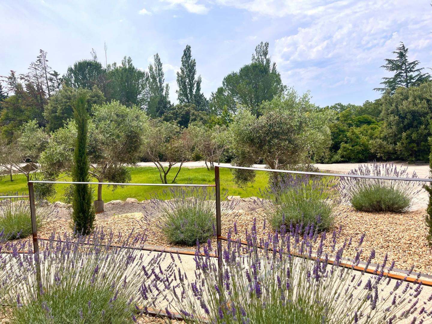 Villa du Tallagard, Salon-de-Provence - photo 22