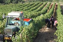 Cave Domaine Nicolas Croze