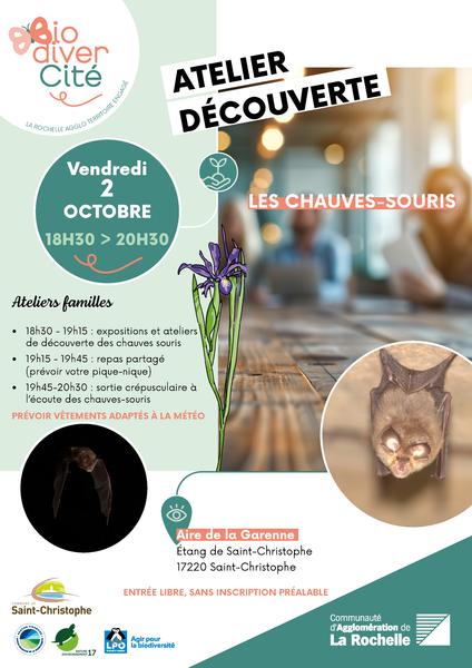Atelier - Découverte des chauves-souris
