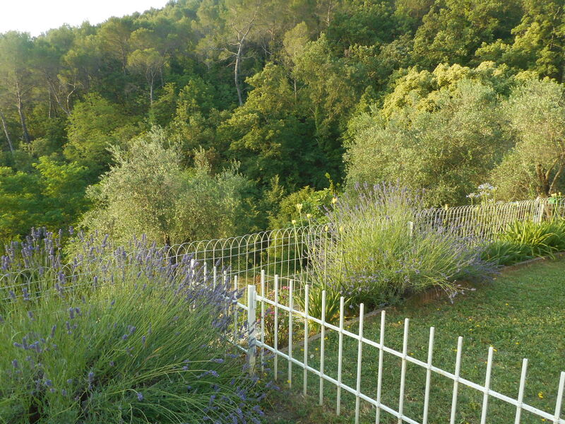 Vue jardin Le Cabanon