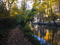 Gland, sentier de l'eau