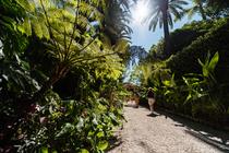 Jardin botanique Val Rahmeh