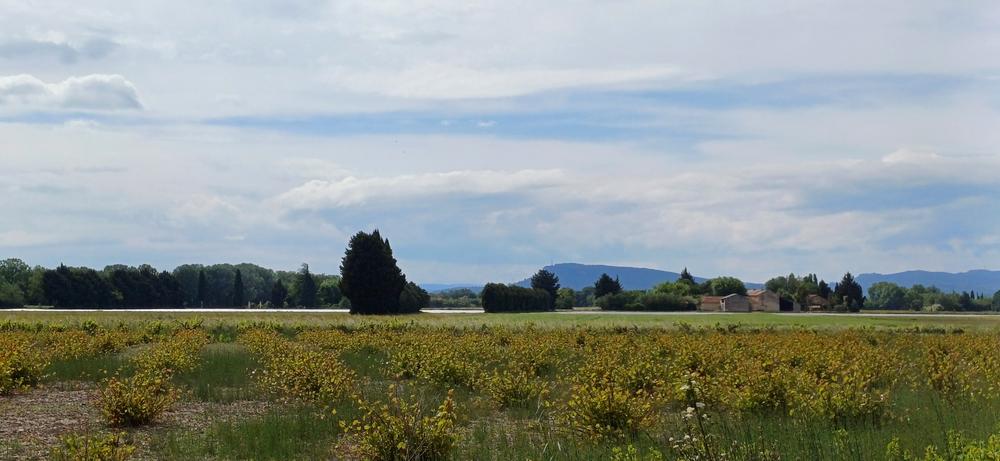 6 - D'Orange à Sérignan-du-Comtat_Orange